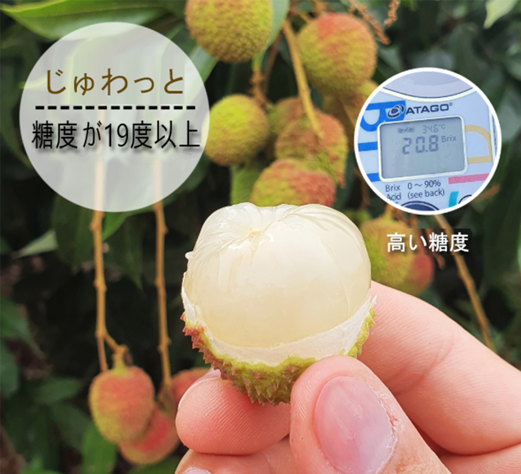 玉荷包圖片4