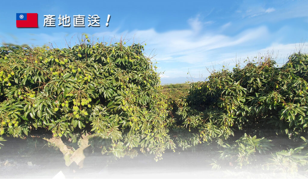 玉荷包圖片1